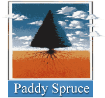 Paddy Spruce